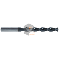 Twist Drill DIN 338 HSS-TIAN, Ground Type W