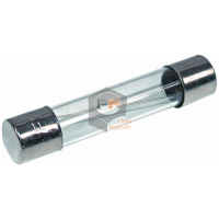 Glass Fuses