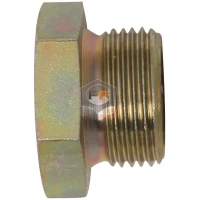 Hollow Screw Plugs