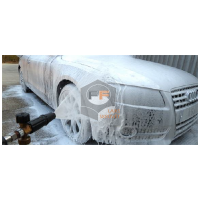 Auto šampūns
